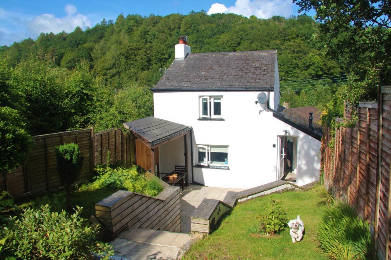 Peacock Cottage Cinderford Exterior foto